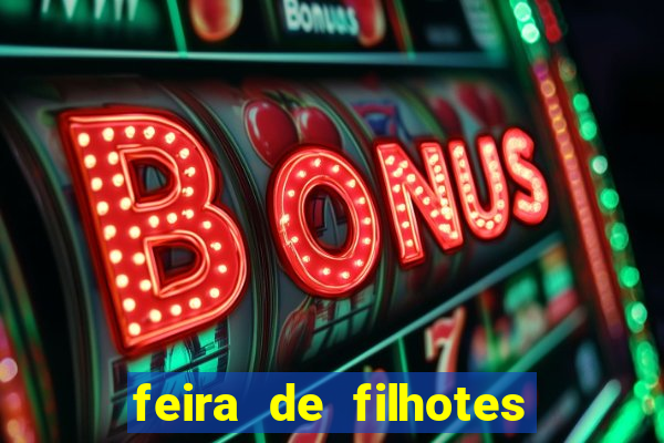 feira de filhotes porto alegre